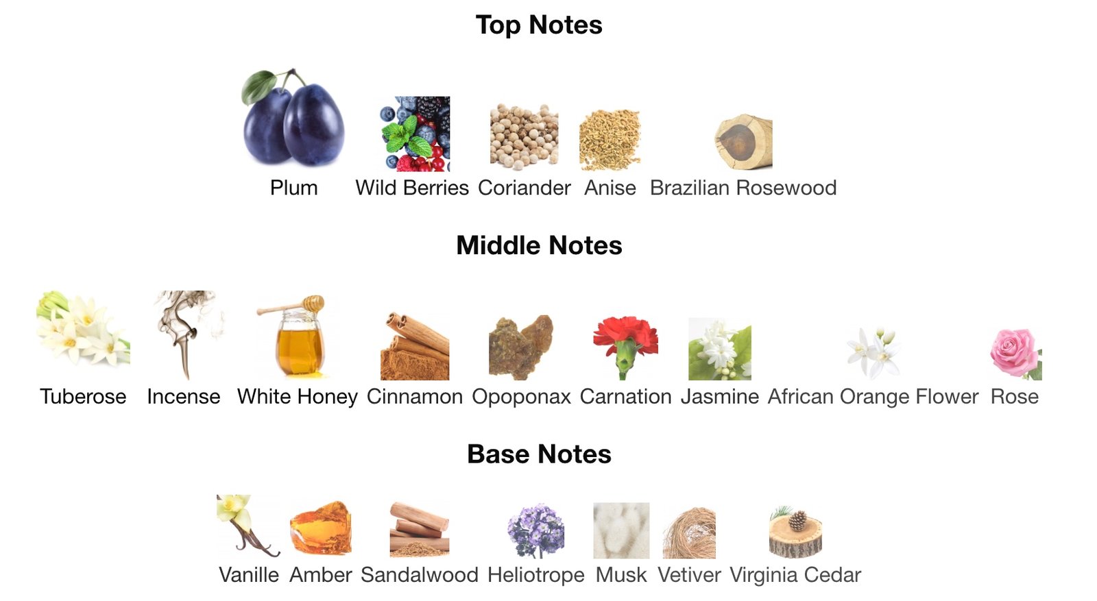 Dior Poison Notes